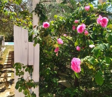 Doukades Apartment | Theonymfi Luxury Villas