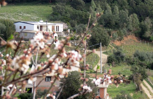 Lanusei House | This Cozy House is Surrounded by Natural Beauties. WiFi and ADSL.