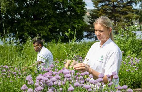 Jevnaker Hotel | Thorbjørnrud Hotell