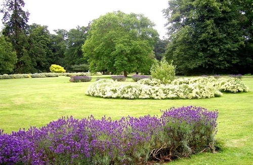Thornham Magna Bed & Breakfast | Thornham Hall