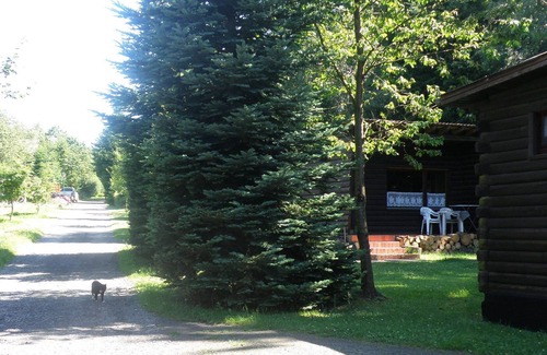 Halenfeld Ski Chalet | Tidy furnished wooden chalet, located close to the forest