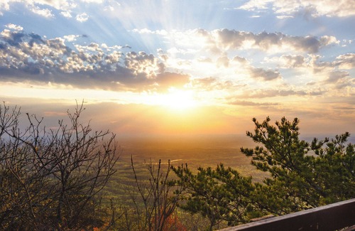 Delta Cabin | Timberline Glamping Cheaha