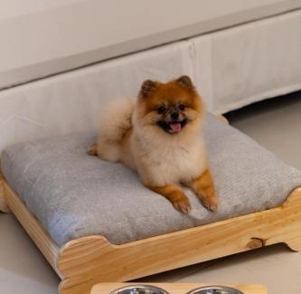 Praia de Iracema Hotel | Tintto Hotel