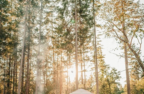 Grants Pass Cabin | Tiny Cabin in the Woods w/Hot Tub and Firepit