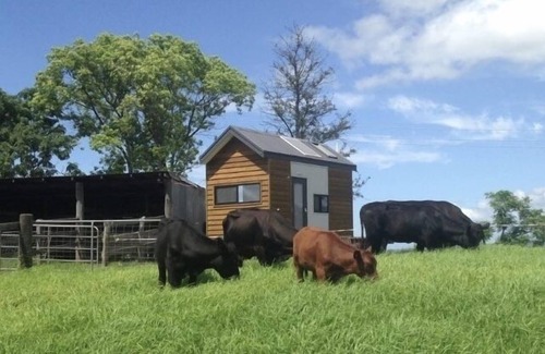 Kurrajong House | Tiny Home . BIG Views