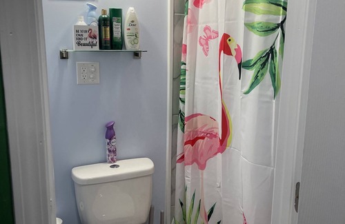 Jacksonville Apartment | Tiny home for 2 with Flamingo theme EV Chging L1&2