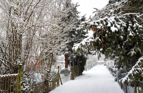 Roxheim House | Tiny House