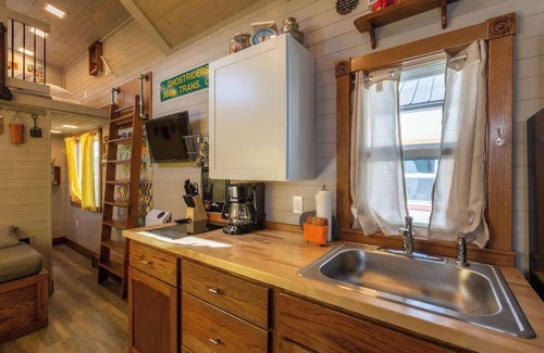 Leadville Apartment | Tiny House Jesse Pet Friendly & Downtown