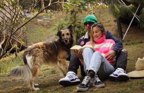 Los Nomos Ski Chalet | Tiny House La Silleta