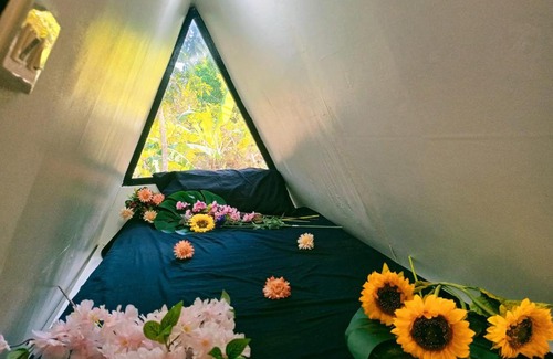 Magallanes Other | Tiny House
