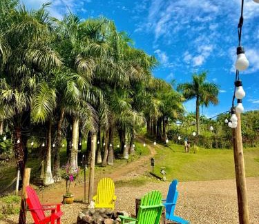 Timbo Cabin | Tiny Houses Amsterdam, Timbó