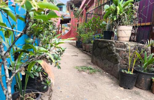 Varkala Hotel | Tiny Temple