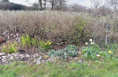 Llanrhidian Higher Cottage | Tirmynydd Farm Cottage