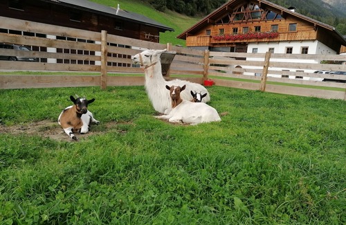 San Giacomo Apartment | "Tischlerhof Zirm" vacation apartment with balcony and mountain view