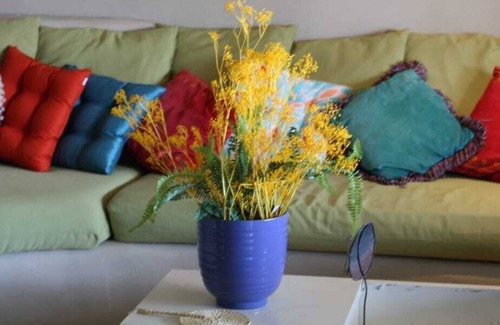 Monteverde House | Titi House