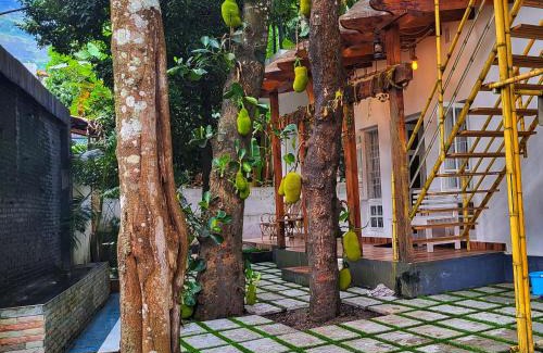 Adimaly Villa | TKG serene Private 2BHK Adimali