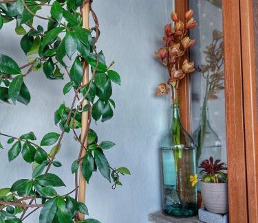 Tsagarada Apartment | To giataki tou pappou