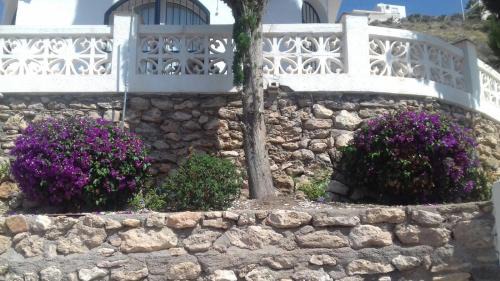 Aguilas House | Todosol Dream