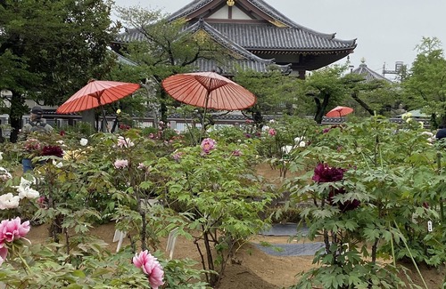 Adachi House | Tokyo Newly Opened! Guest House Yamadaya
