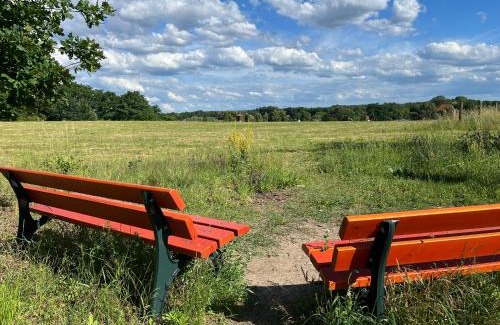 Bestensee Nord Apartment | TOP-Ferienwohnung bei Berlin, bis 3 Gäste, Terrasse und Garten