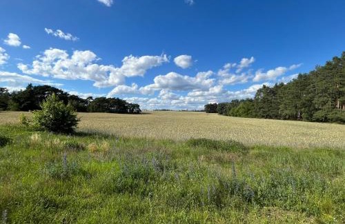 Bestensee Nord Apartment | TOP-Ferienwohnung bei Berlin, bis 3 Gäste, Terrasse und Garten