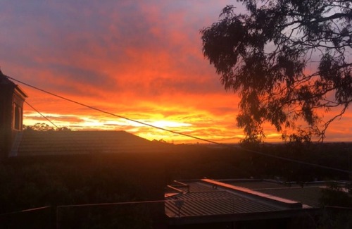Kew House | Top of the Trees in the City