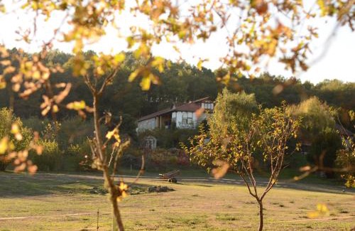 Panton Apartment | Torre Tanquián Eco Finca - Ribeira Sacra