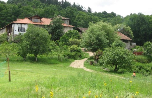 Panton Apartment | Torre Tanquián Eco Finca - Ribeira Sacra