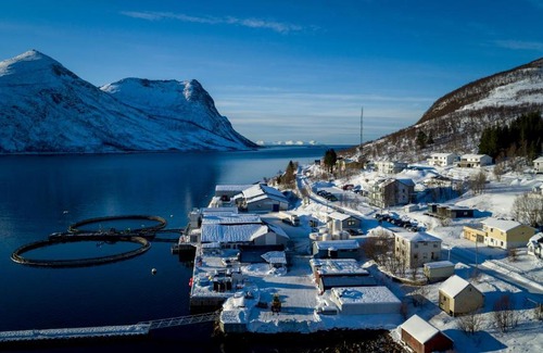 Torsken Hotel | TorskenSenteret