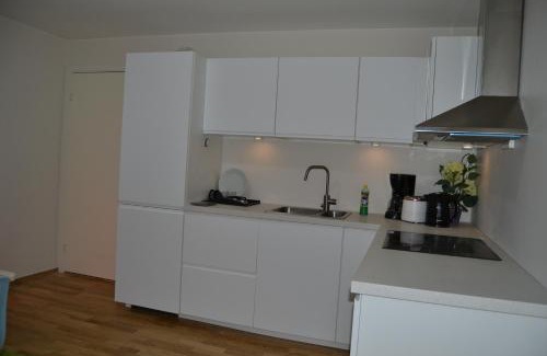 Trondheim Apartment | Totally independent apartment near NTNU,Lerkendal and Center