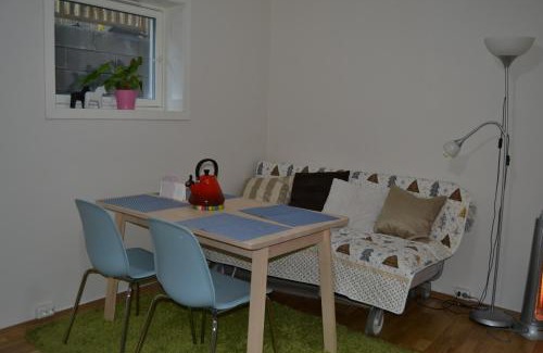 Trondheim Apartment | Totally independent apartment near NTNU,Lerkendal and Center
