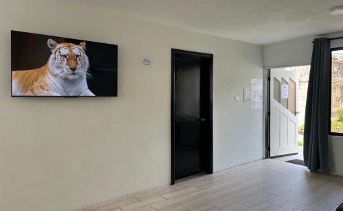 Banos de Agua Santa Apartment | Tourits Logde 2 bedroom 2 badroom