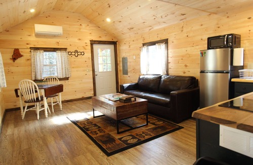 Norway Cabin | Trailside cabin w/sauna, minutes to town & lake, skiing nearby. Pet Friendly!