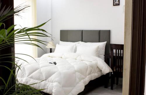 Sushant Lok Apartment | Tranquil 2BHK Oasis in the Heart of Gurugram
