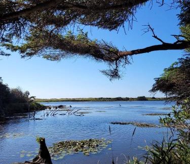Cape Meares House | Tranquil Tides- Cape Meares Lakefront Beach Home