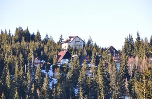 Baisoara House | Transylvania Villa & Spa