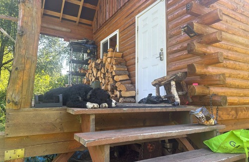 Trapper Creek Cabin | Trapper Creek Newer Log Cabin- 3 miles in from Parks Hwy