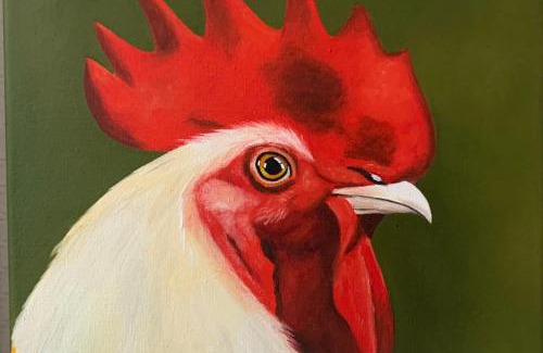 Schleswig Apartment | trash de luxe