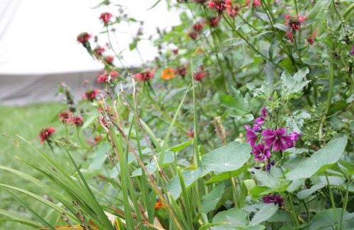 Hinzert-Polert Other | Traumhaftes Glamping-Zelt in unberührter Natur