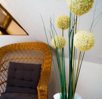 Munstermaifeld Apartment | Traumwohnung Jolly Jumper auf idyllischem Reiterhof nähe Burg Eltz