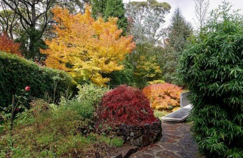 Mount Wilson House | Tree Tops