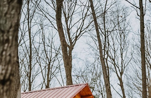 East Gwillimbury Cabin | Treehouse On Animal Sanctuary Hottub/Sauna/Trails