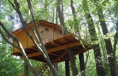 Bohutin Ski Chalet | Treehouse v Brdech