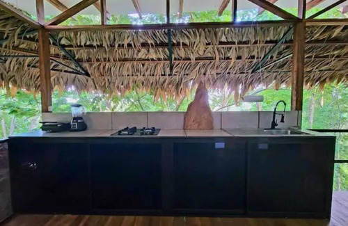 Cocles House | TreeTop Mansion, where the jungle meets the sea!