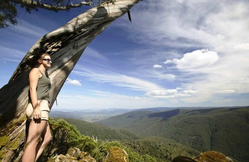 Salisbury House | TREETOPS CABIN WITHIN BARRINGTON TOPS WILDERNESS