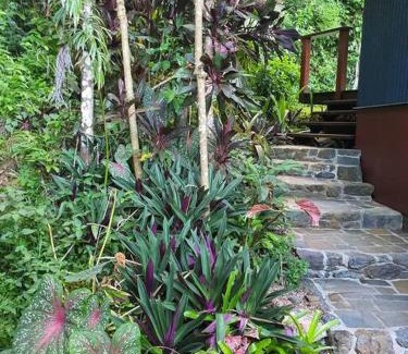 Cow Bay House | Treeverb Beach House - Daintree