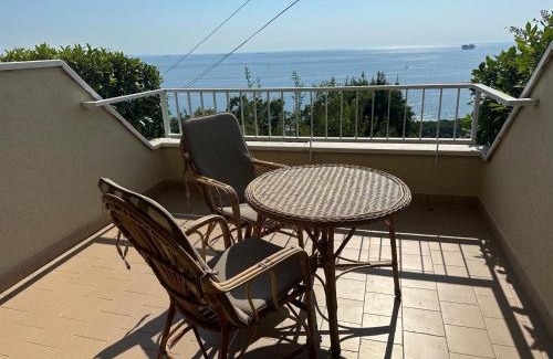 Roiano-Gretta-Barcola-Cologna-Scorcola Bed & Breakfast | Trieste Sea Life