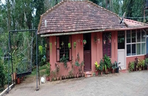 Kaimane House | TripThrill Jungle Side Homestay