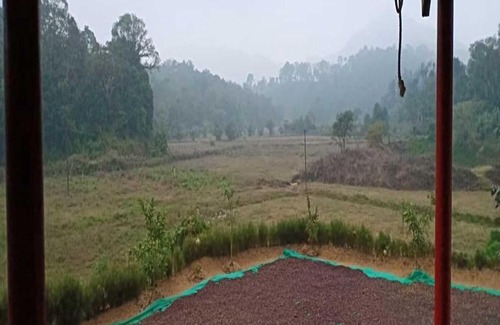 Kaimane House | TripThrill Jungle Side Homestay