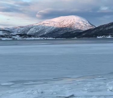 Lenvik House | Trivelig fritidshus på Årnes, Senja